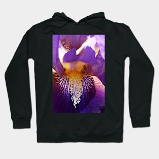 Purple Iris Macro Hoodie